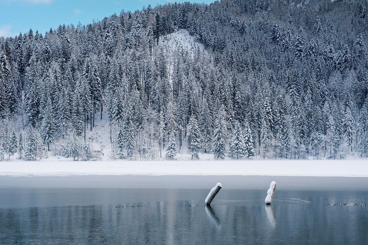 Winter Frozen Lake