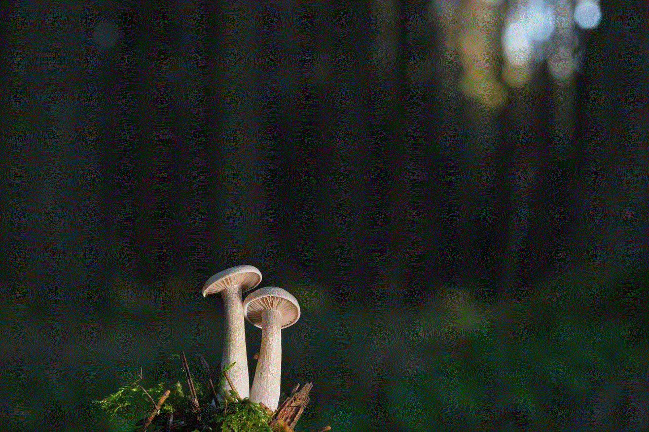 Mushrooms Small Mushrooms