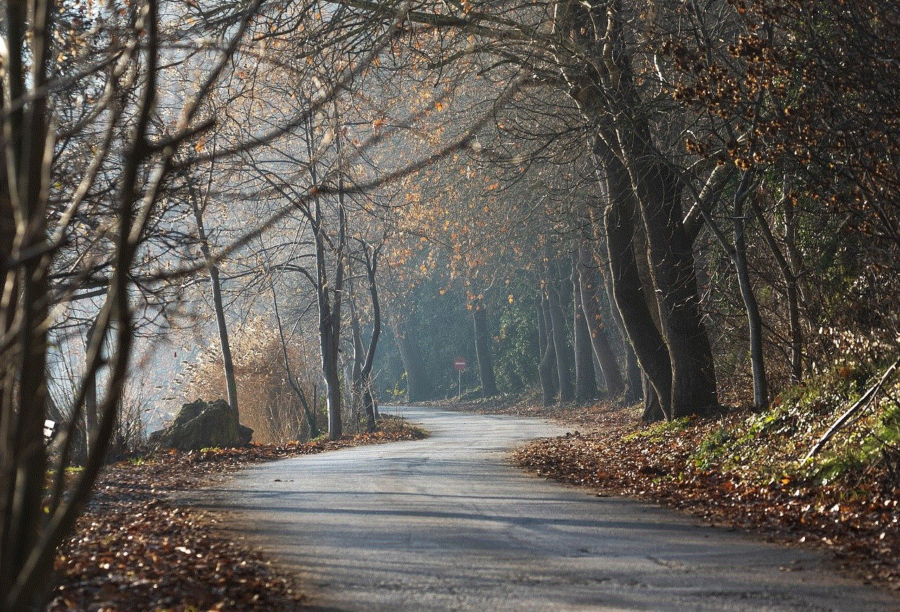 Trees Forest