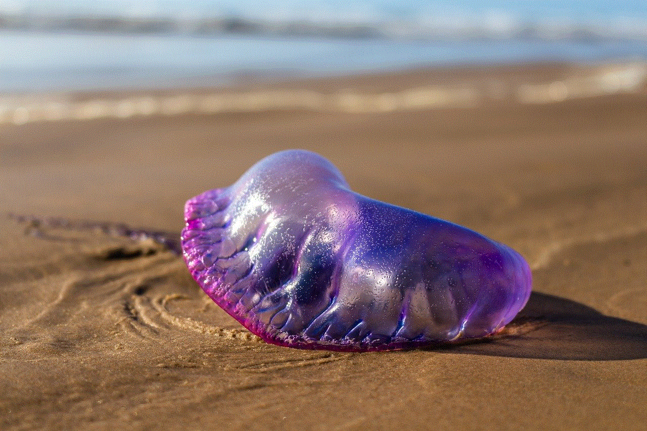 Portuguese Man O' War Sand