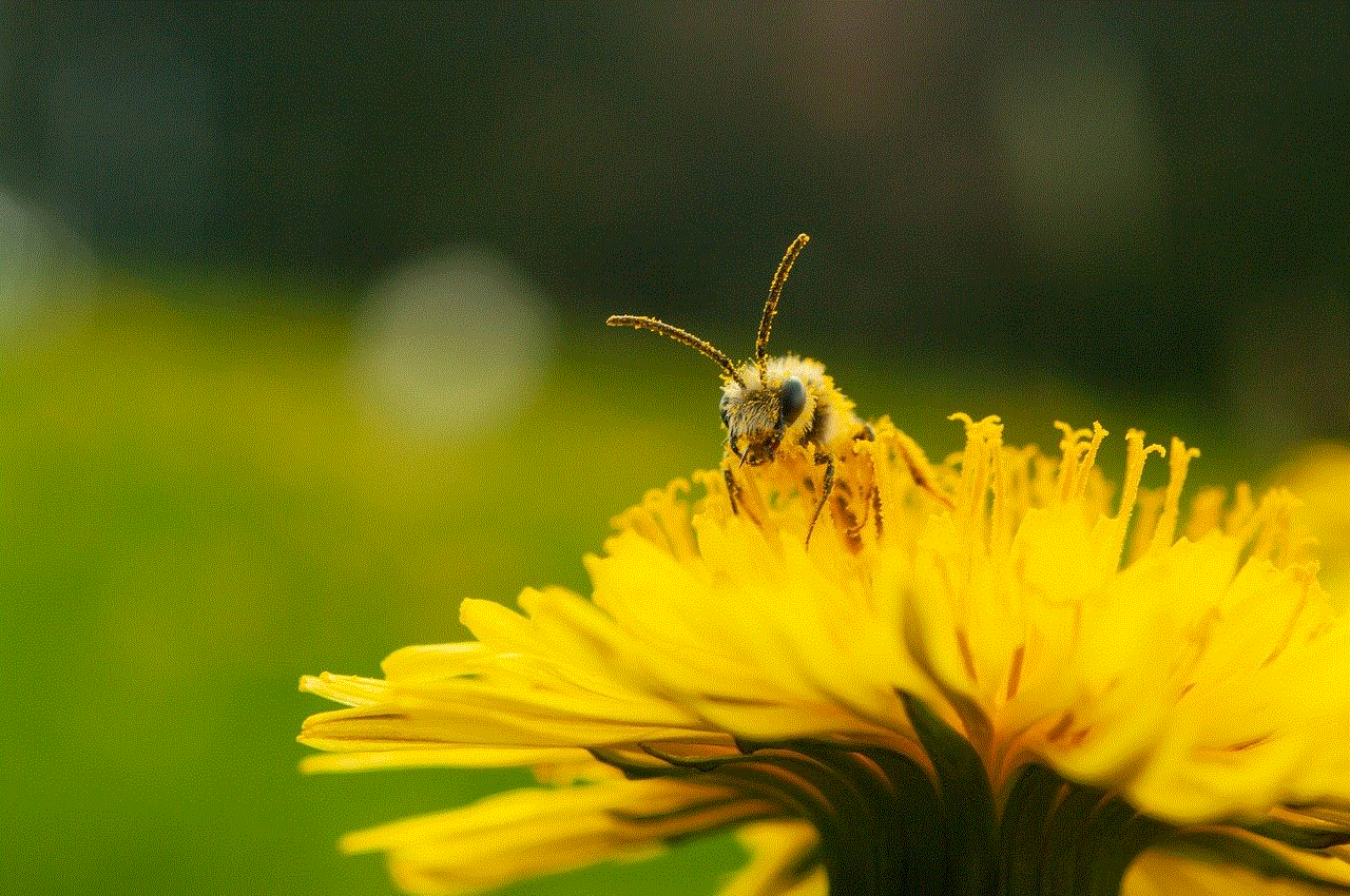 Bee Flower