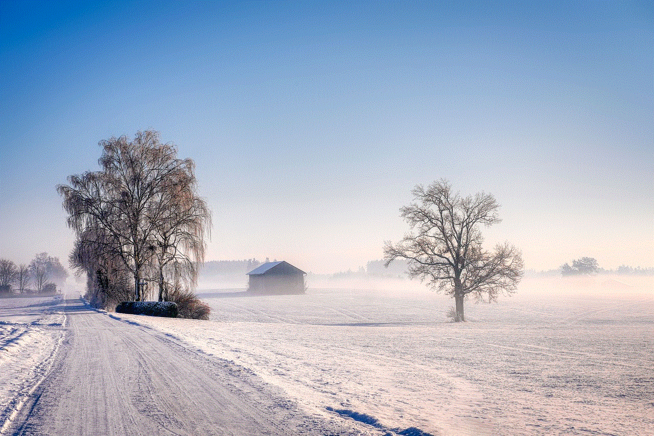 Trees Path