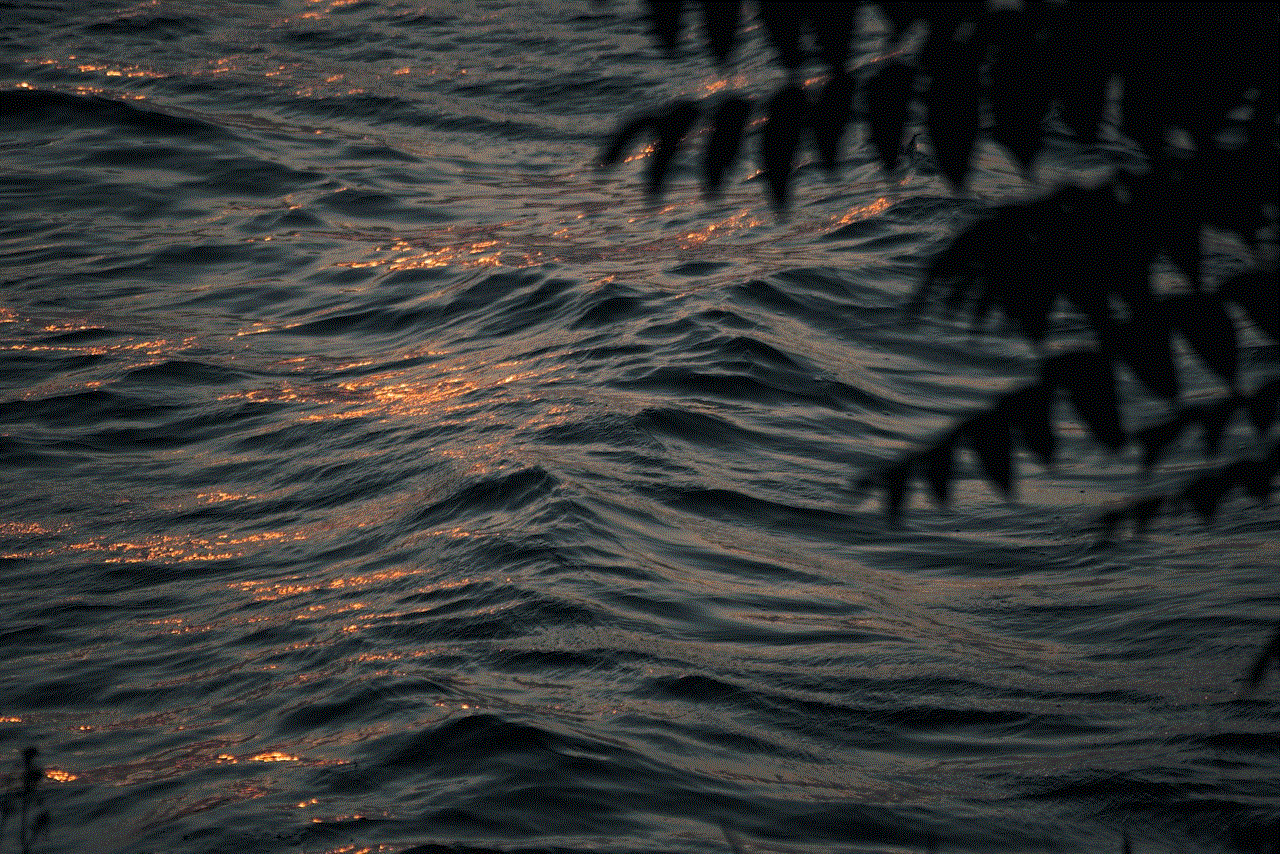 Lake Waves