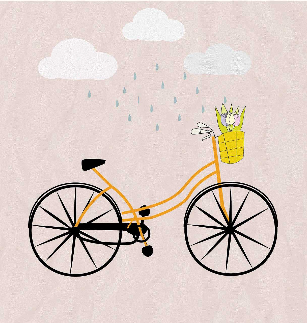 Bicycle Rainy