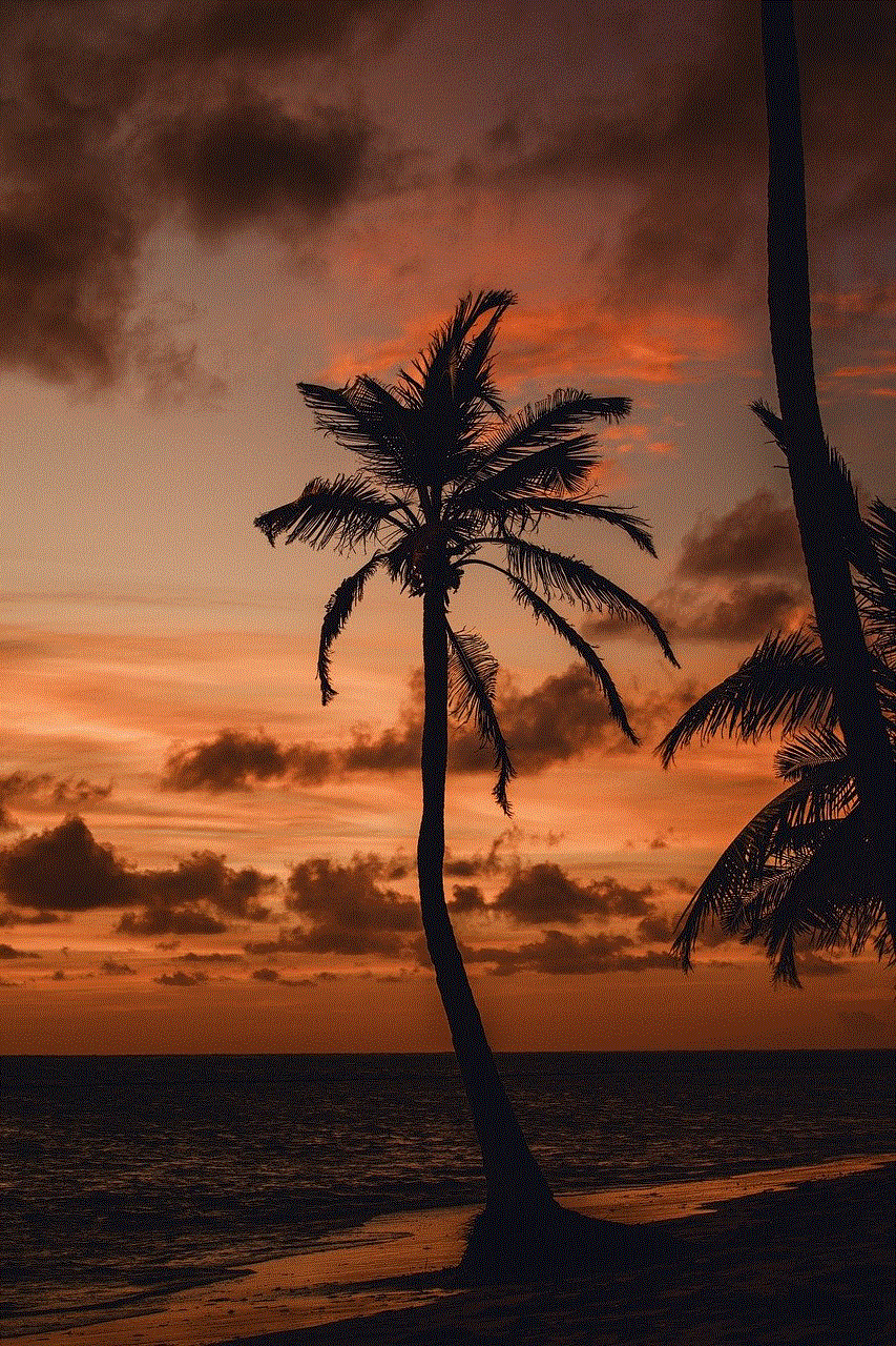 Sunset Palm Tree