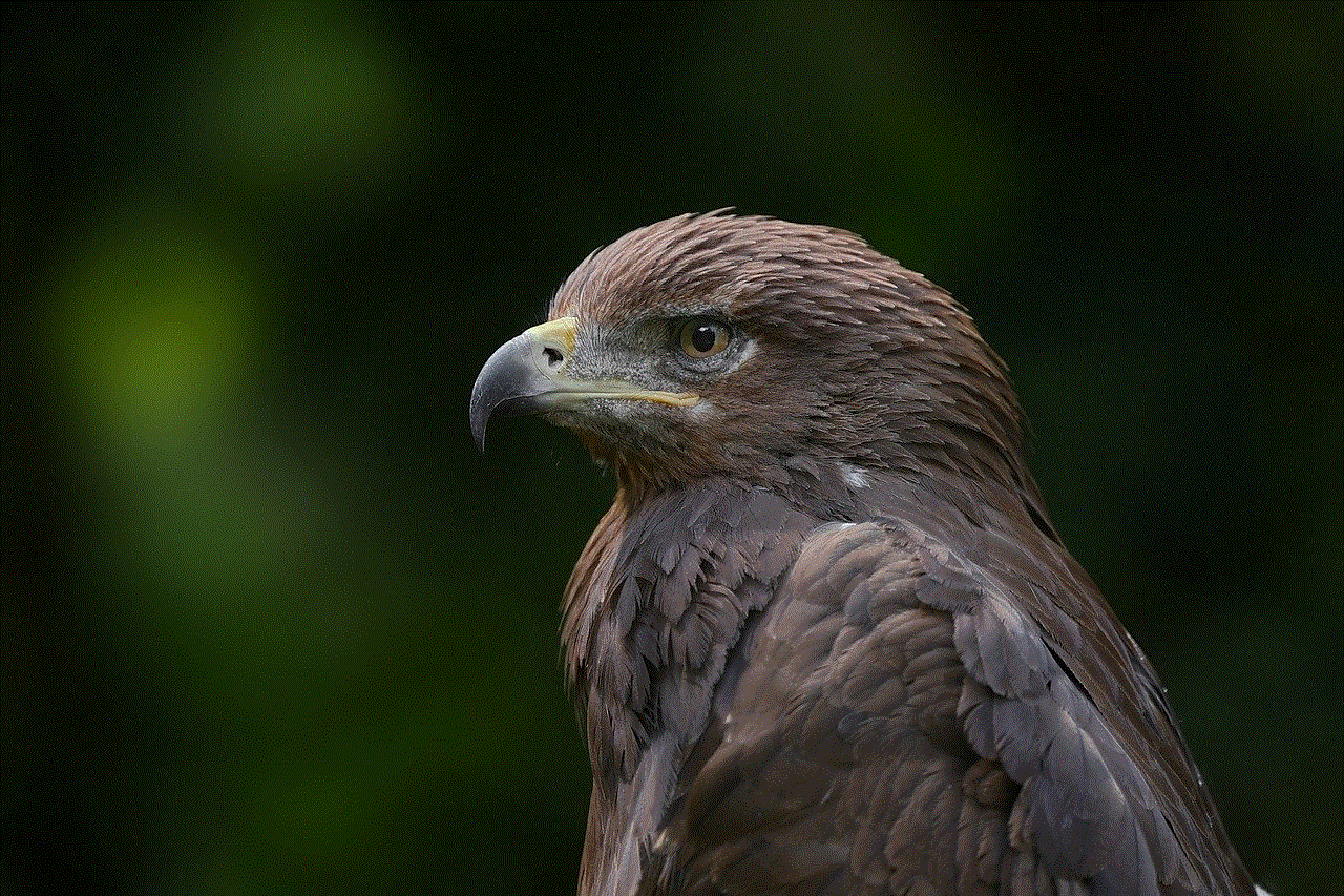 Golden Eagle Eagle