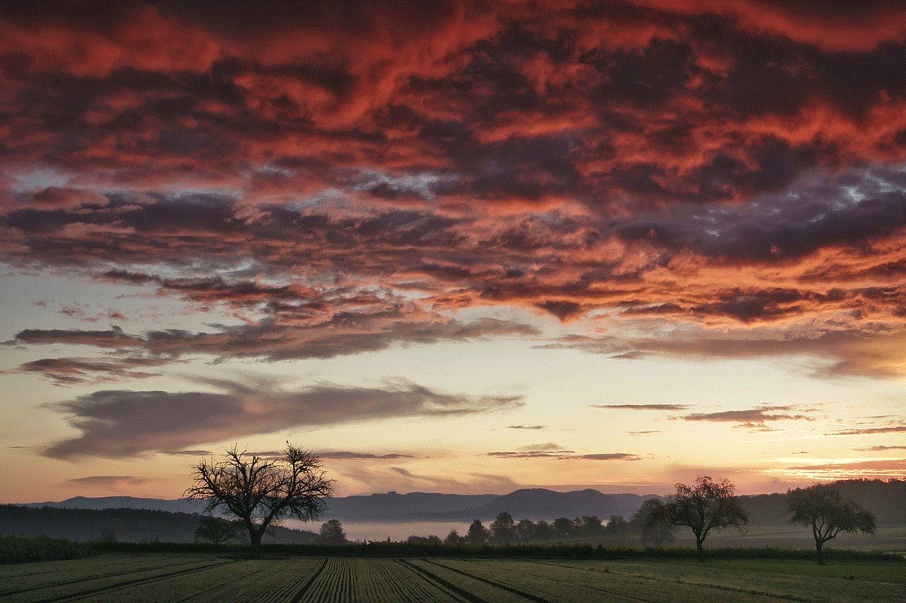 Sunrise Field Sunrise Field