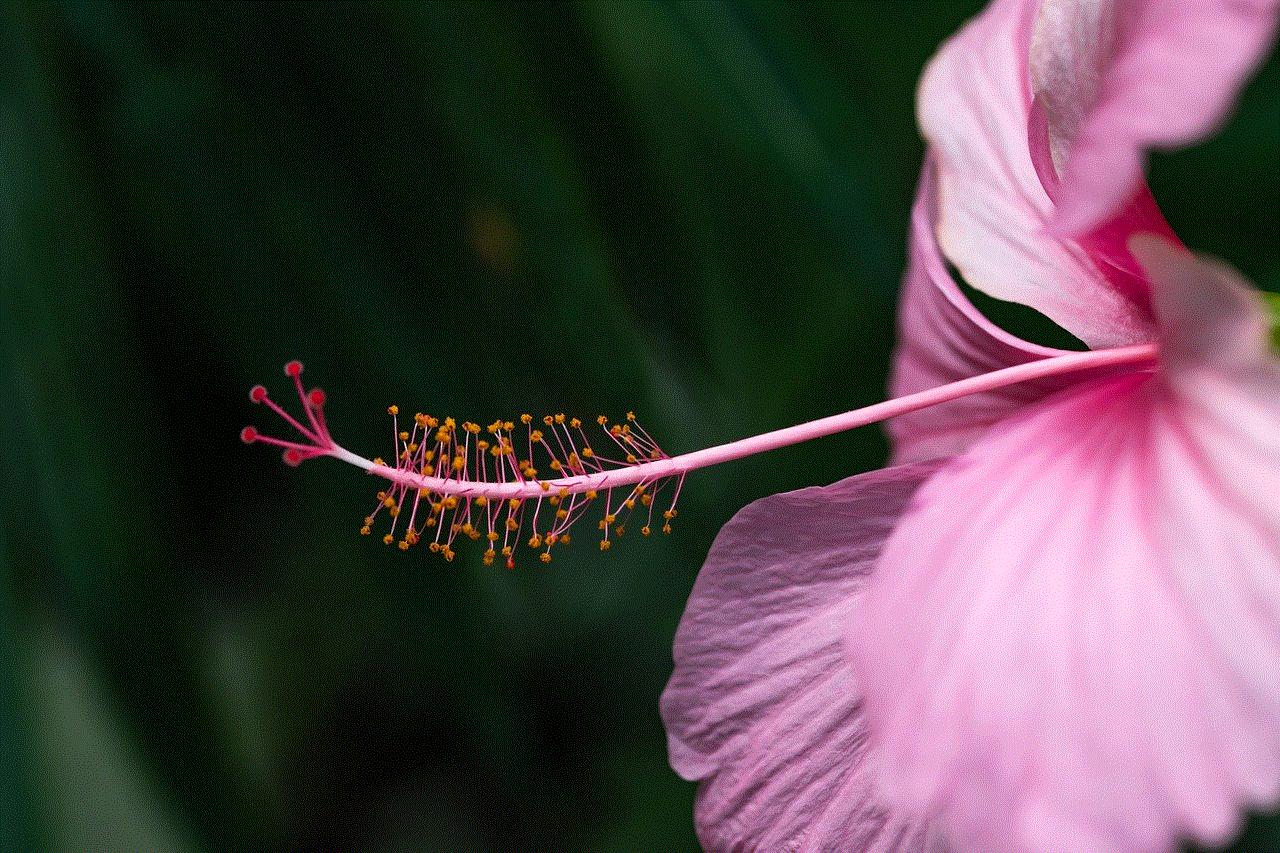 Flower Petals