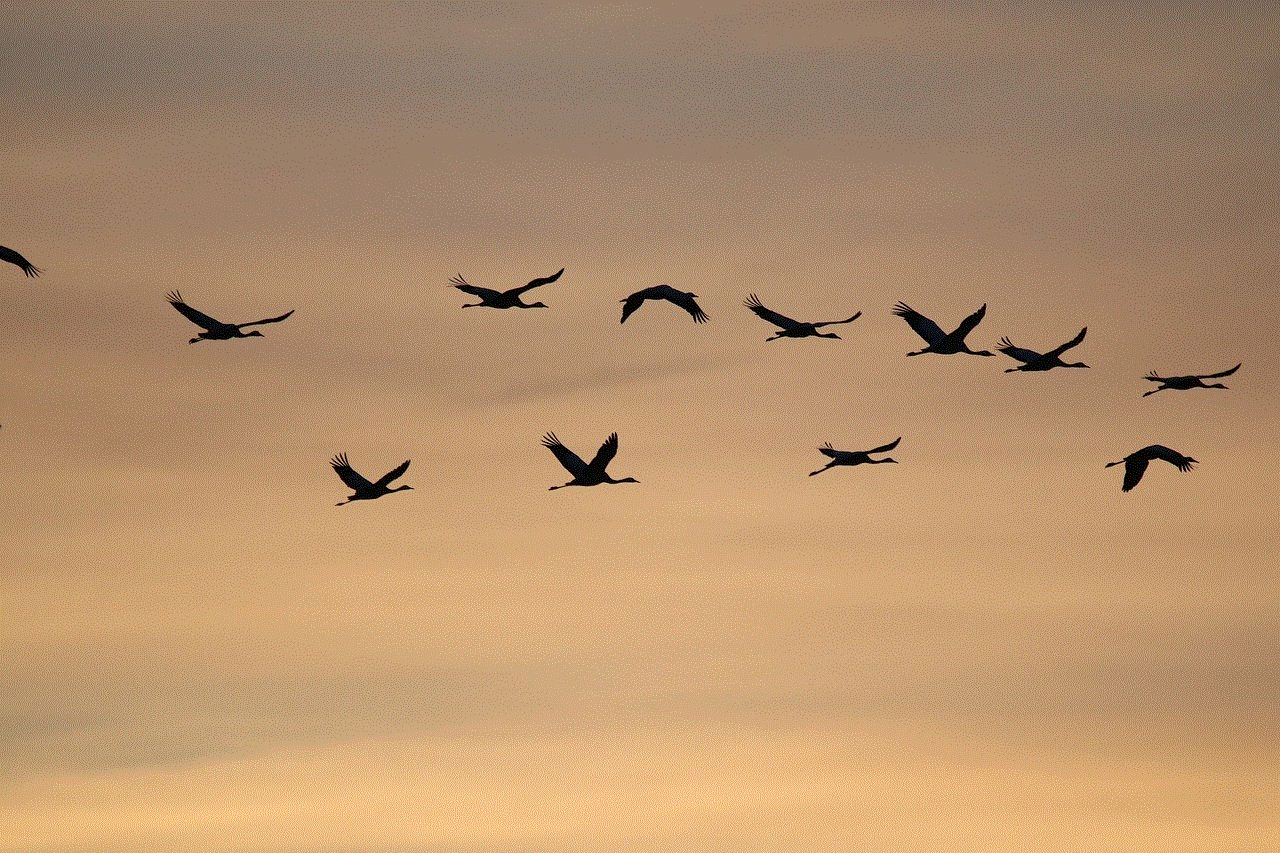 Common Cranes Sunrise