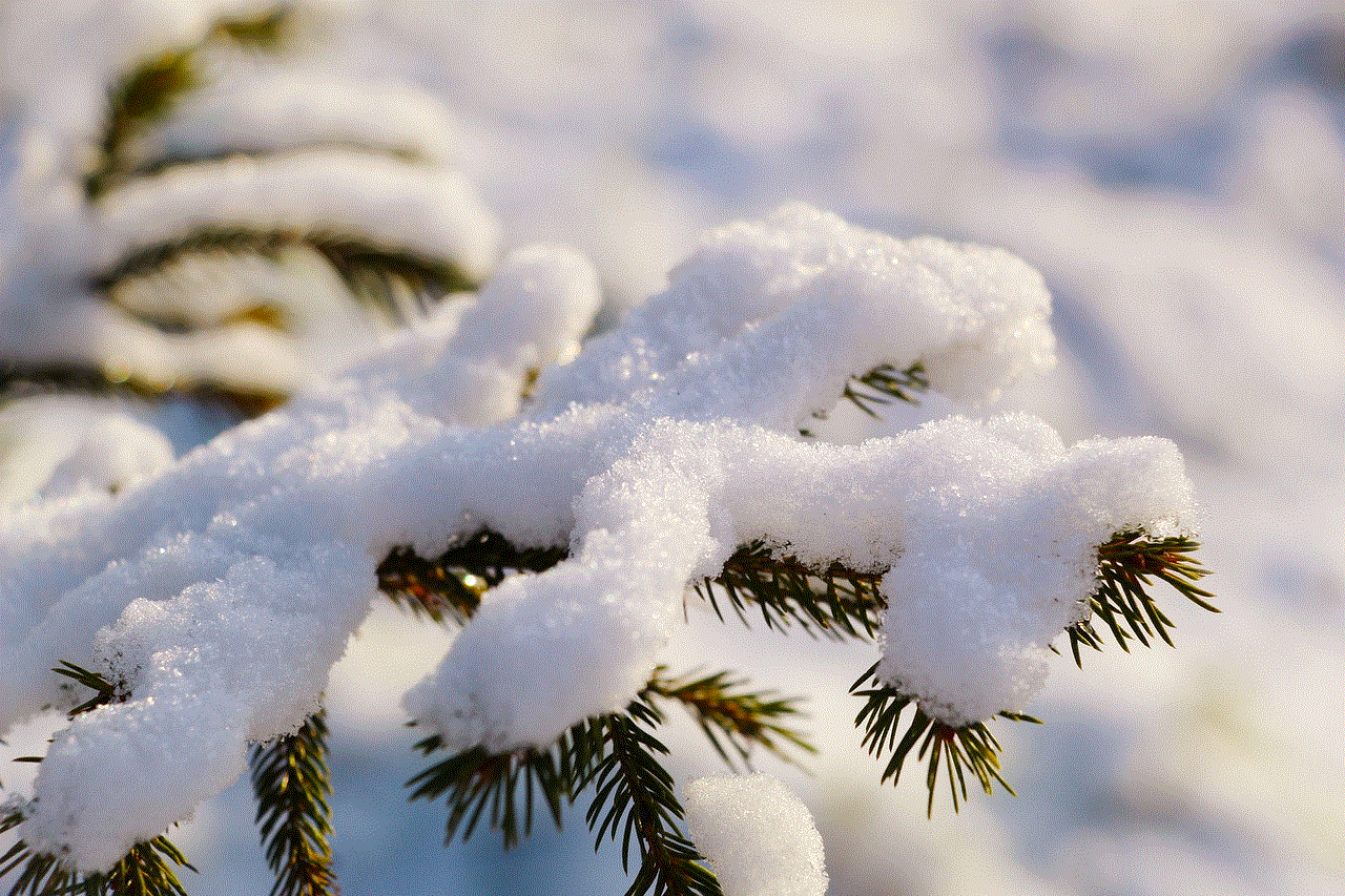 Pine Sprig