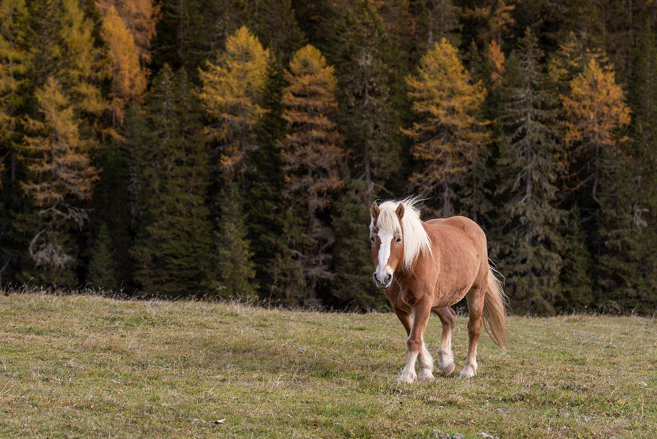 Italy Dolomite