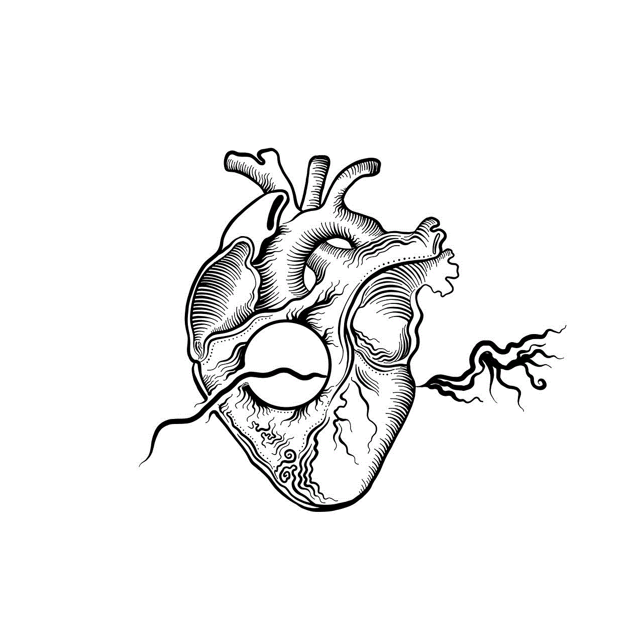 Heart Drawing