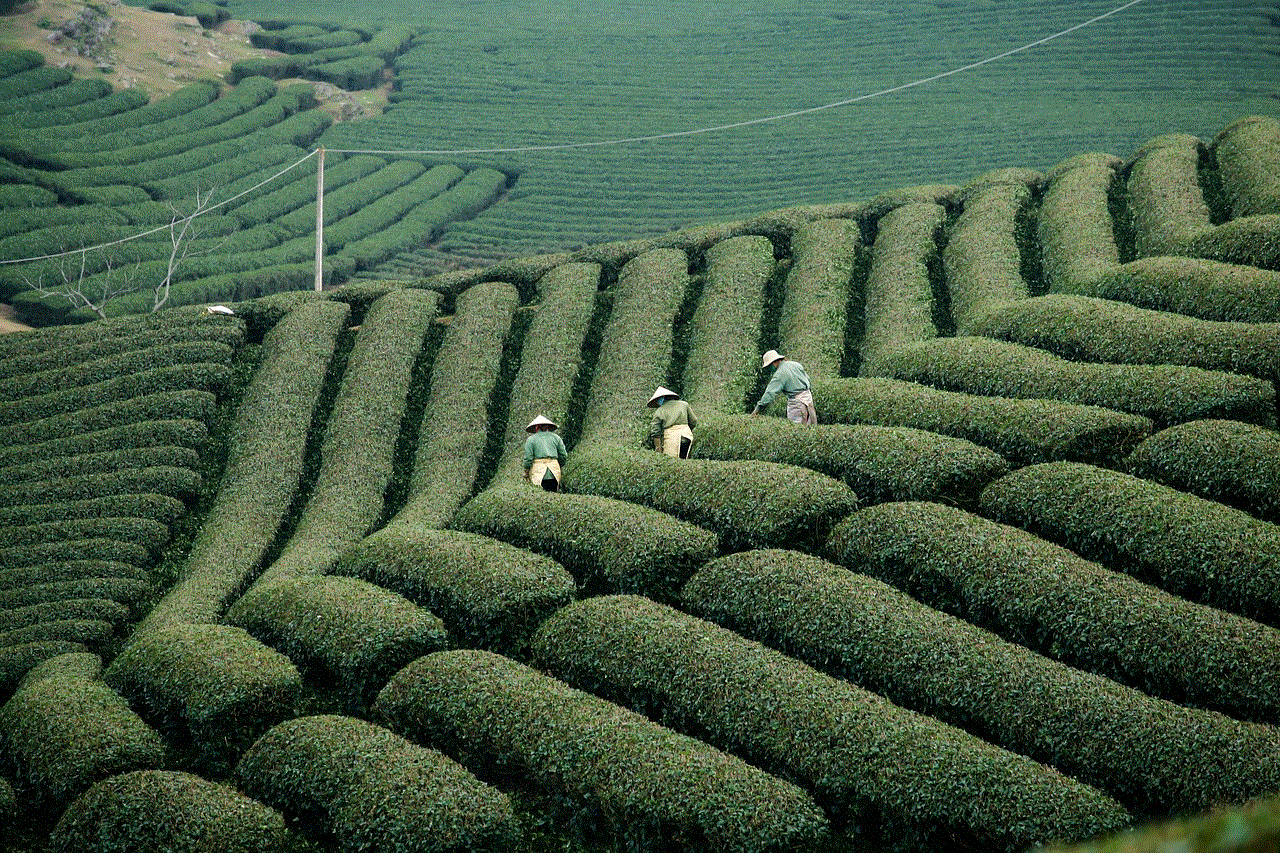 Vietnam Farming