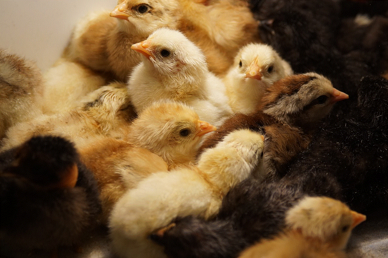 Chickens Incubator