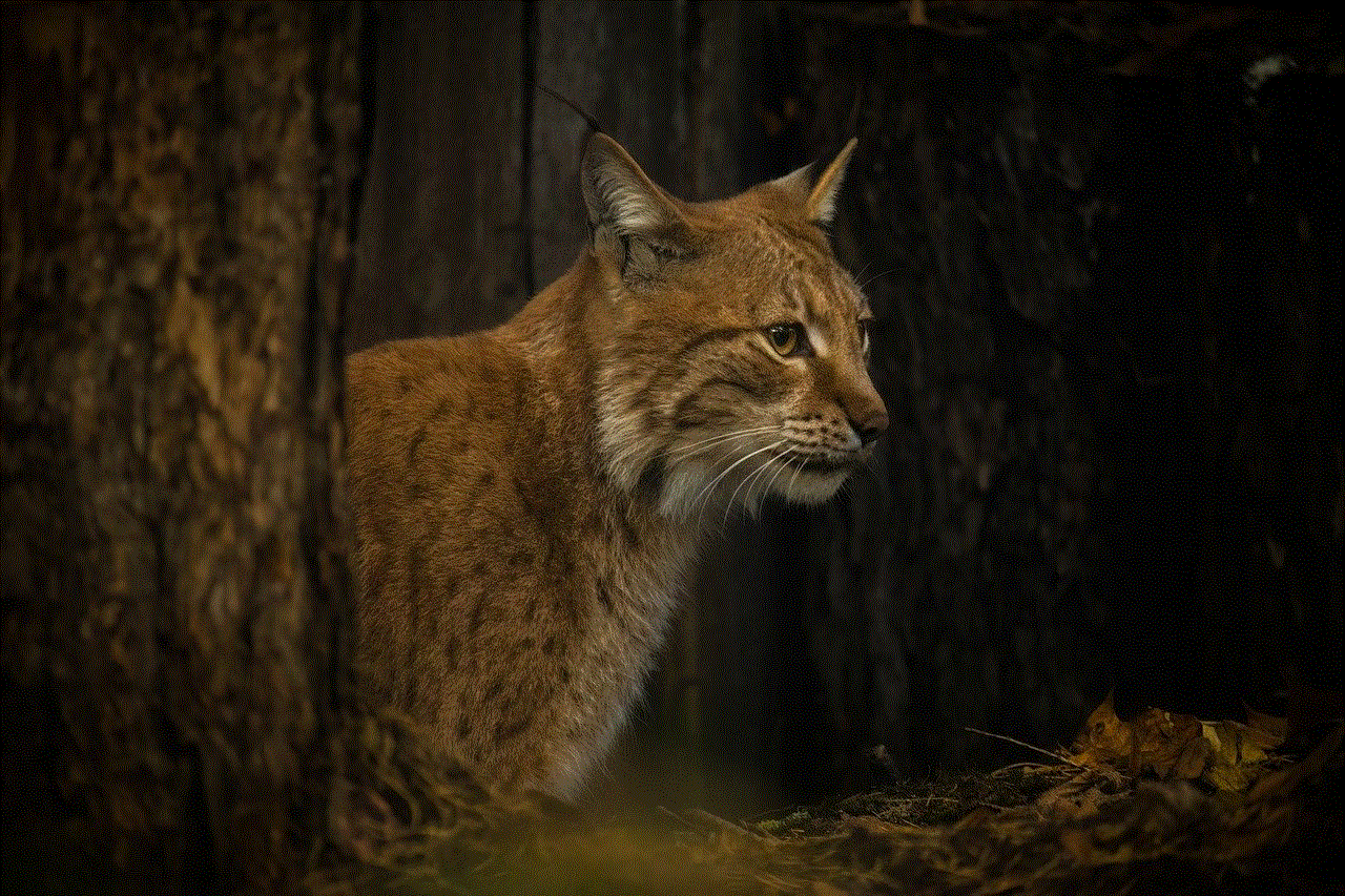 Cat Lynx