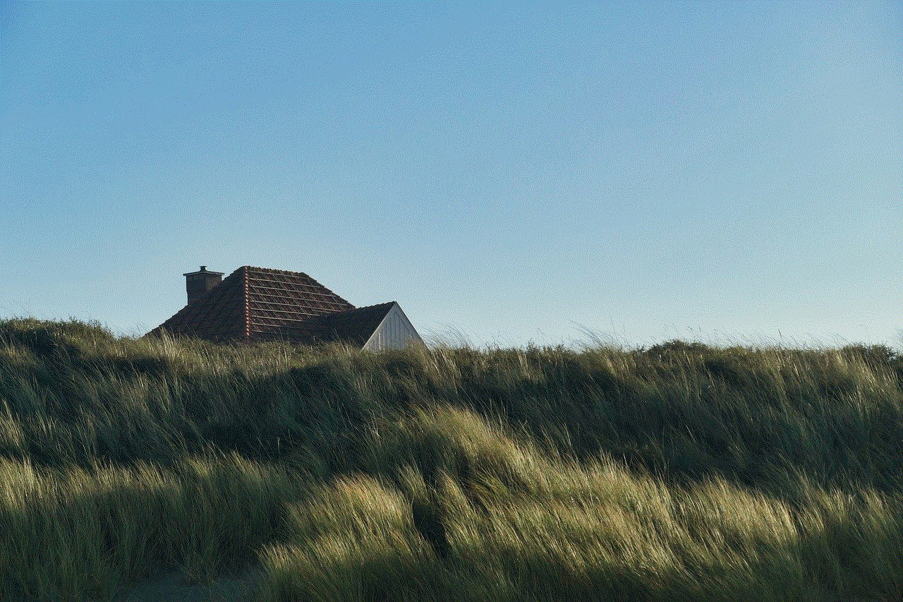 Sand Dunes North Sea