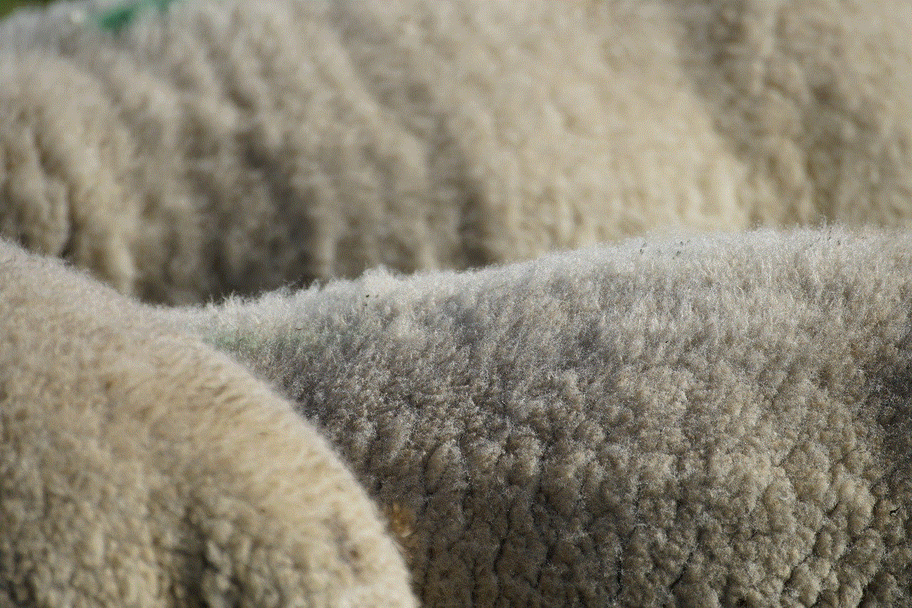 Wool Sheep