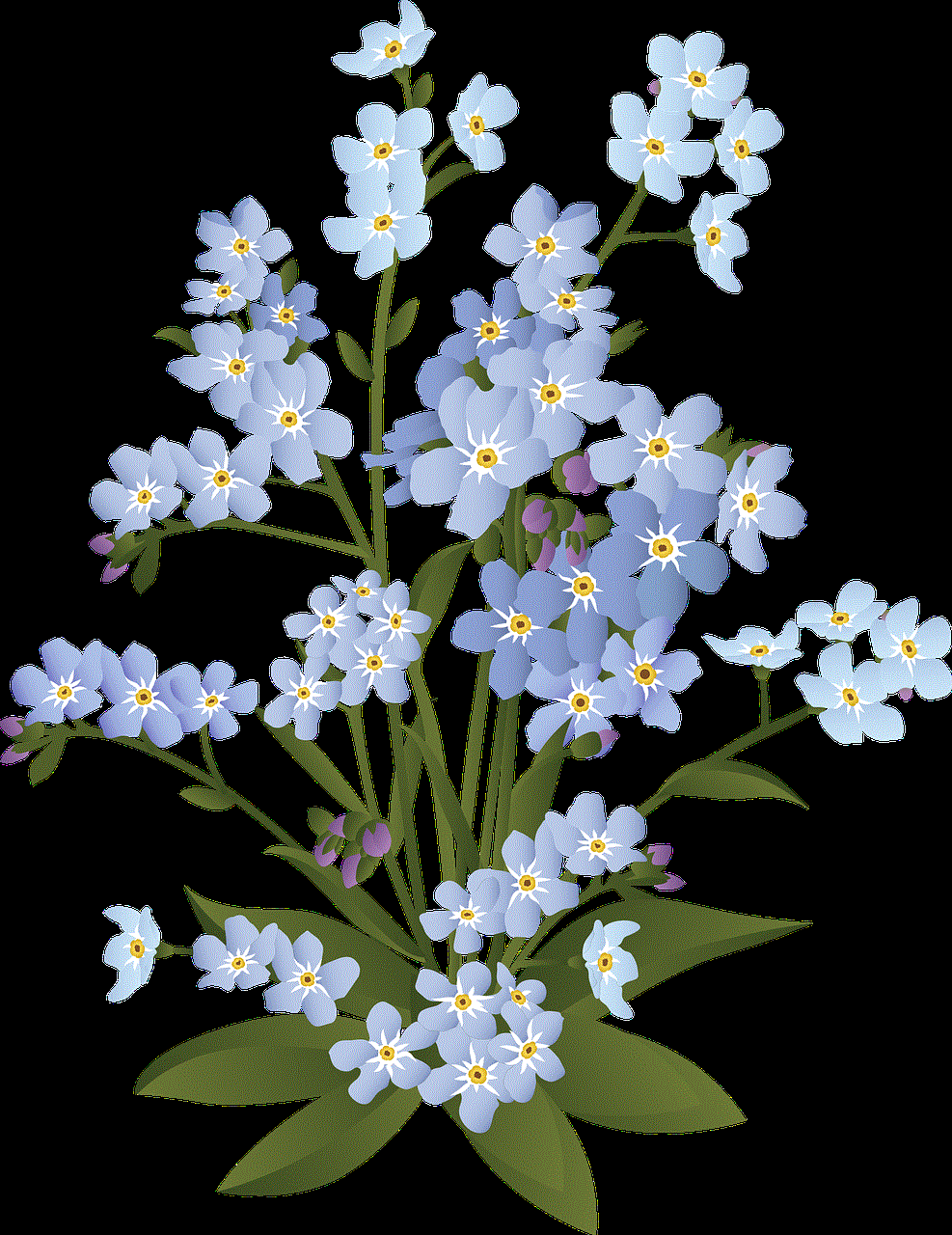 Forget-Me-Not Flower Wallpaper