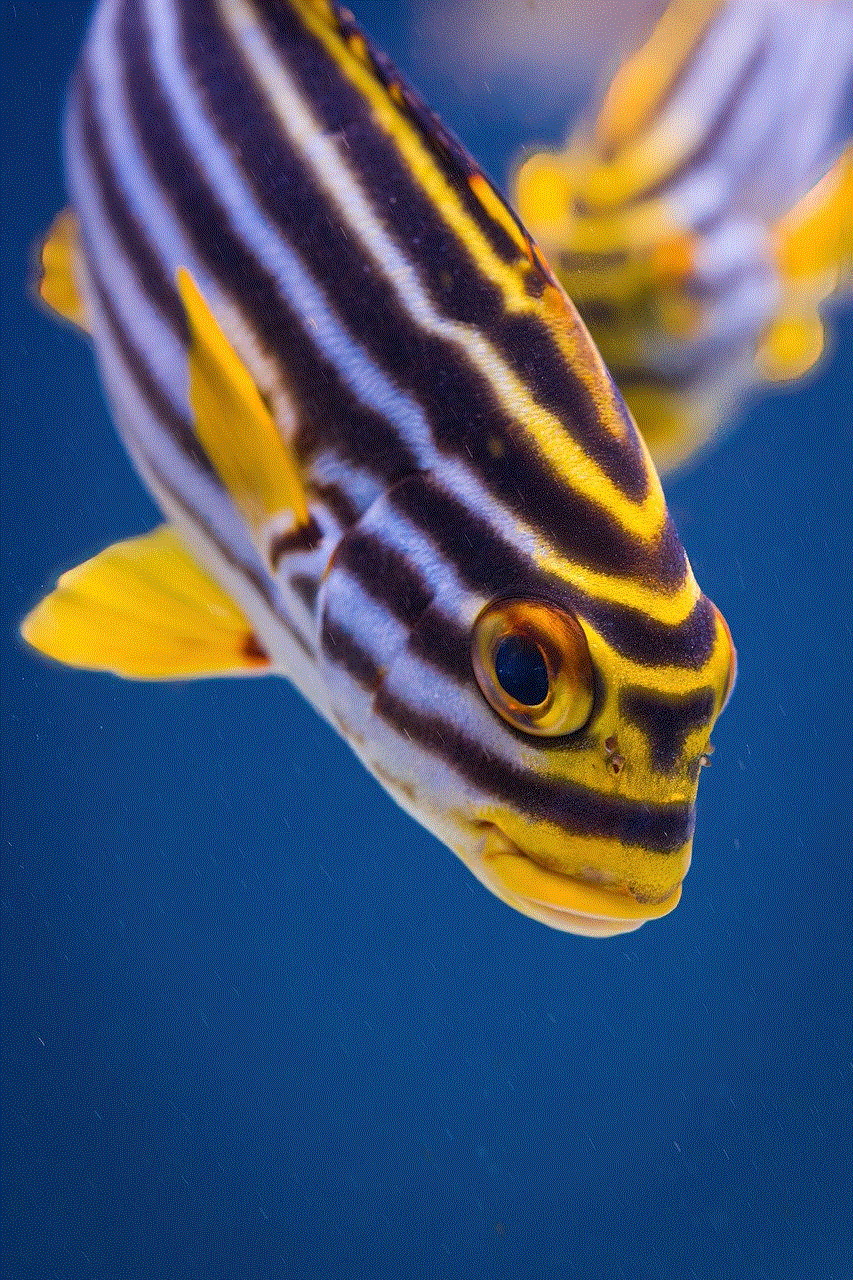 Fish Oriental Sweetlips