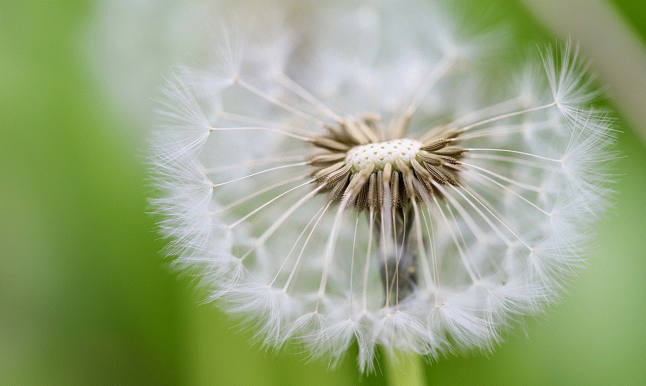 Dandelion Flying Seeds