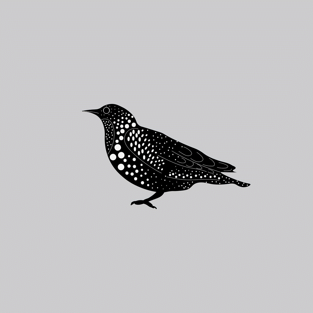 Bird Blackbird