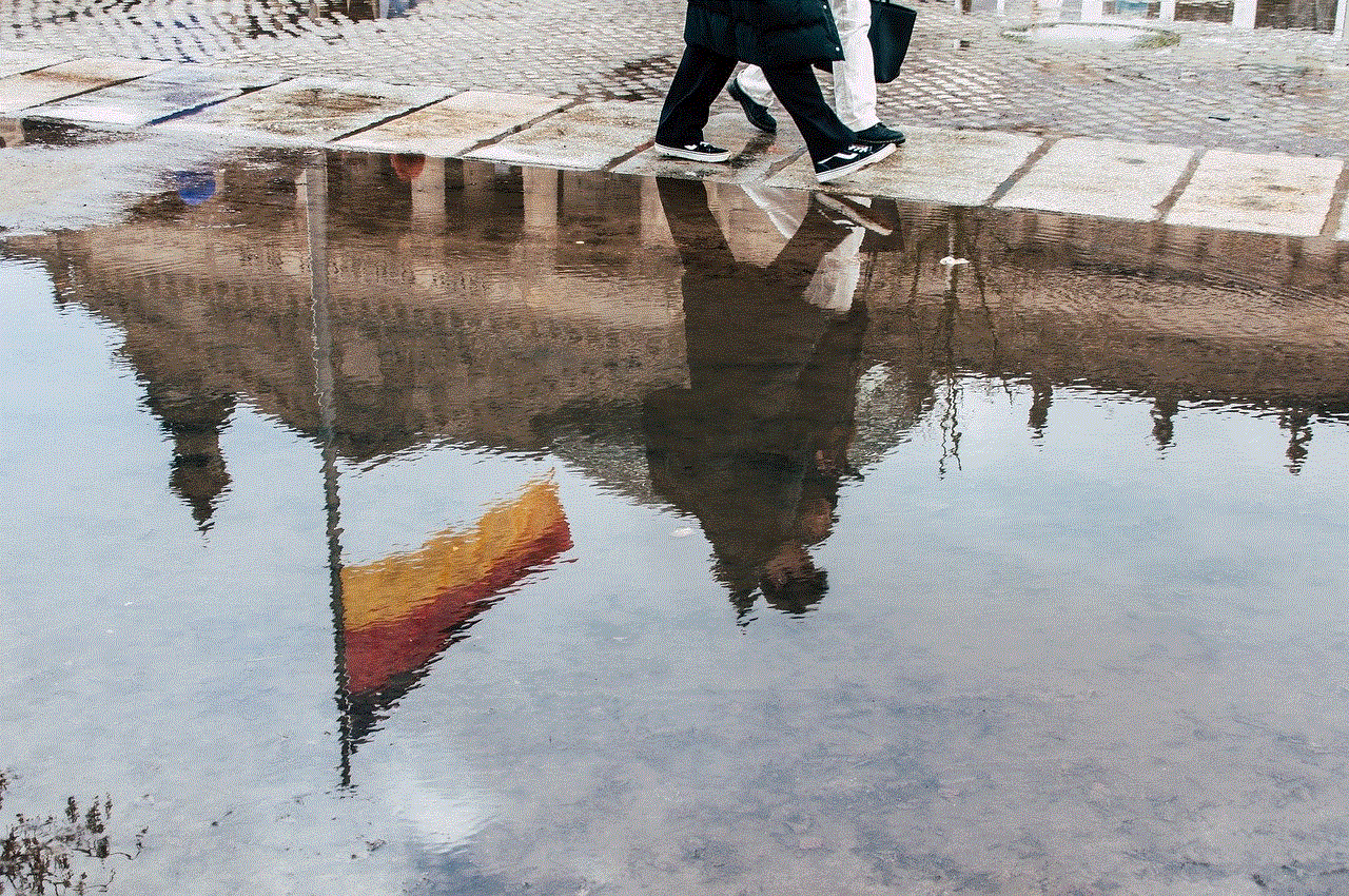 Puddle Reflection