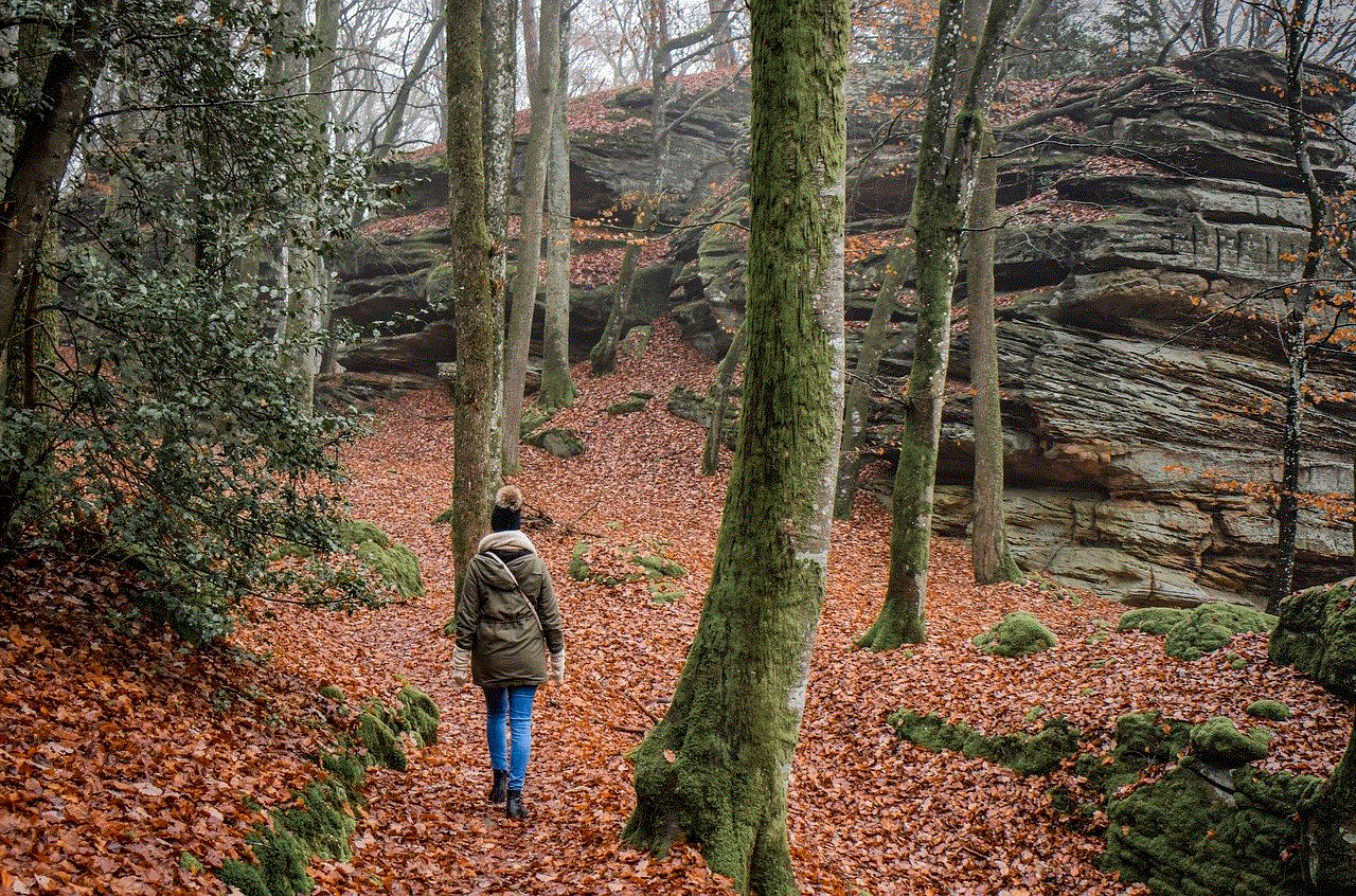 Hiking Forest