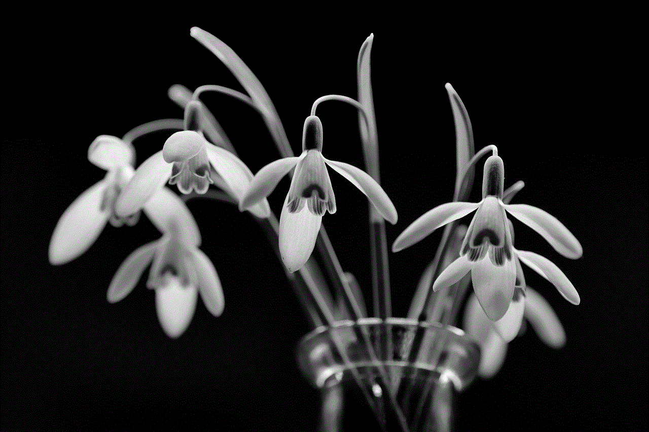 Snowdrop Winter Snowdrop Winter