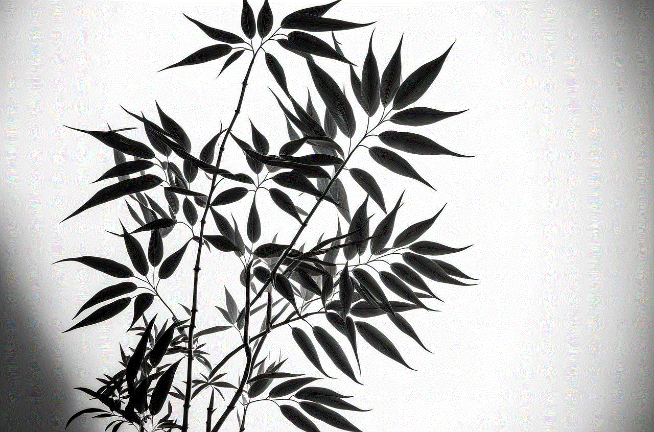 Bamboo Leaves