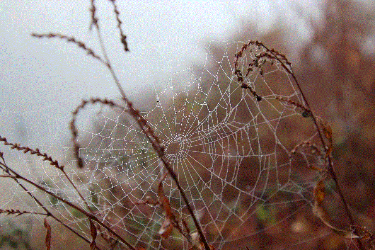 Spider Web Scary