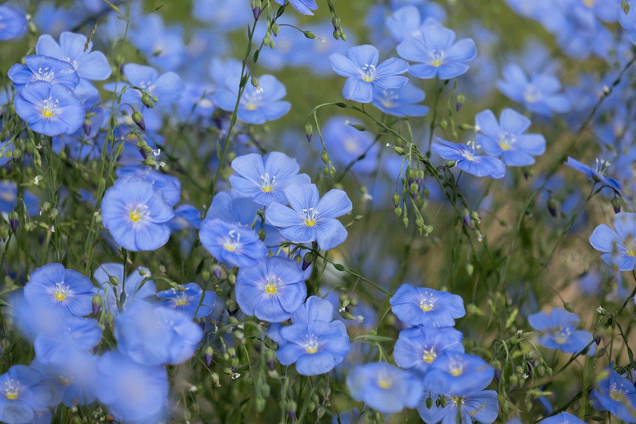 Flowers Small Perennials