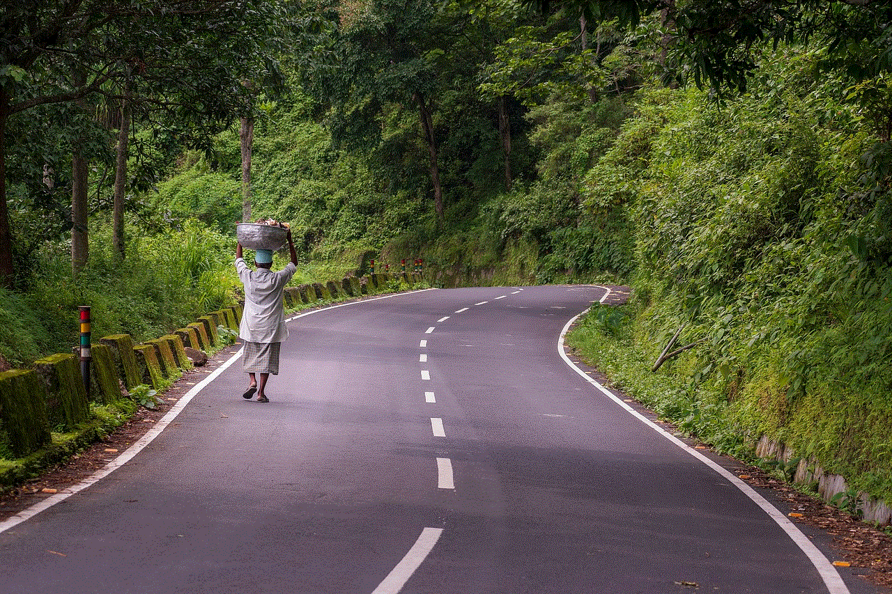 Road Forest