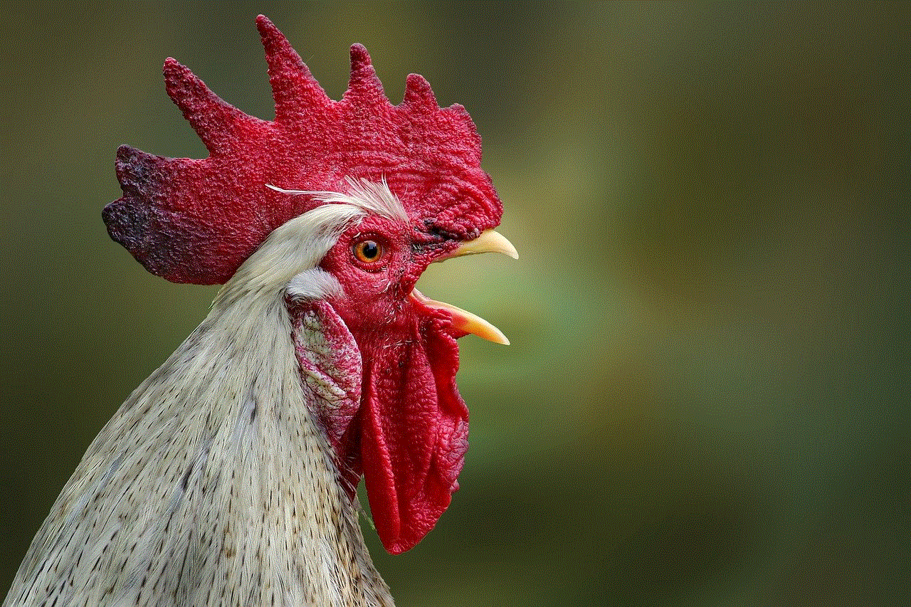 Cockscomb Chicken