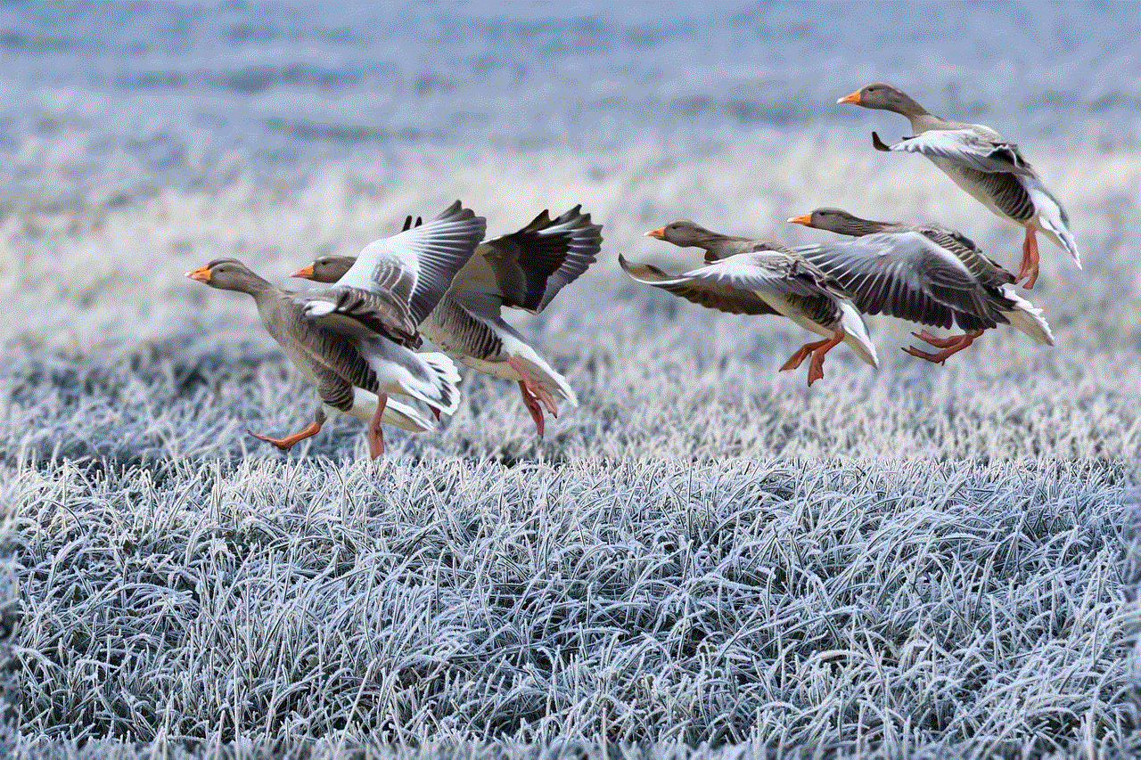 Gray Geese Approach
