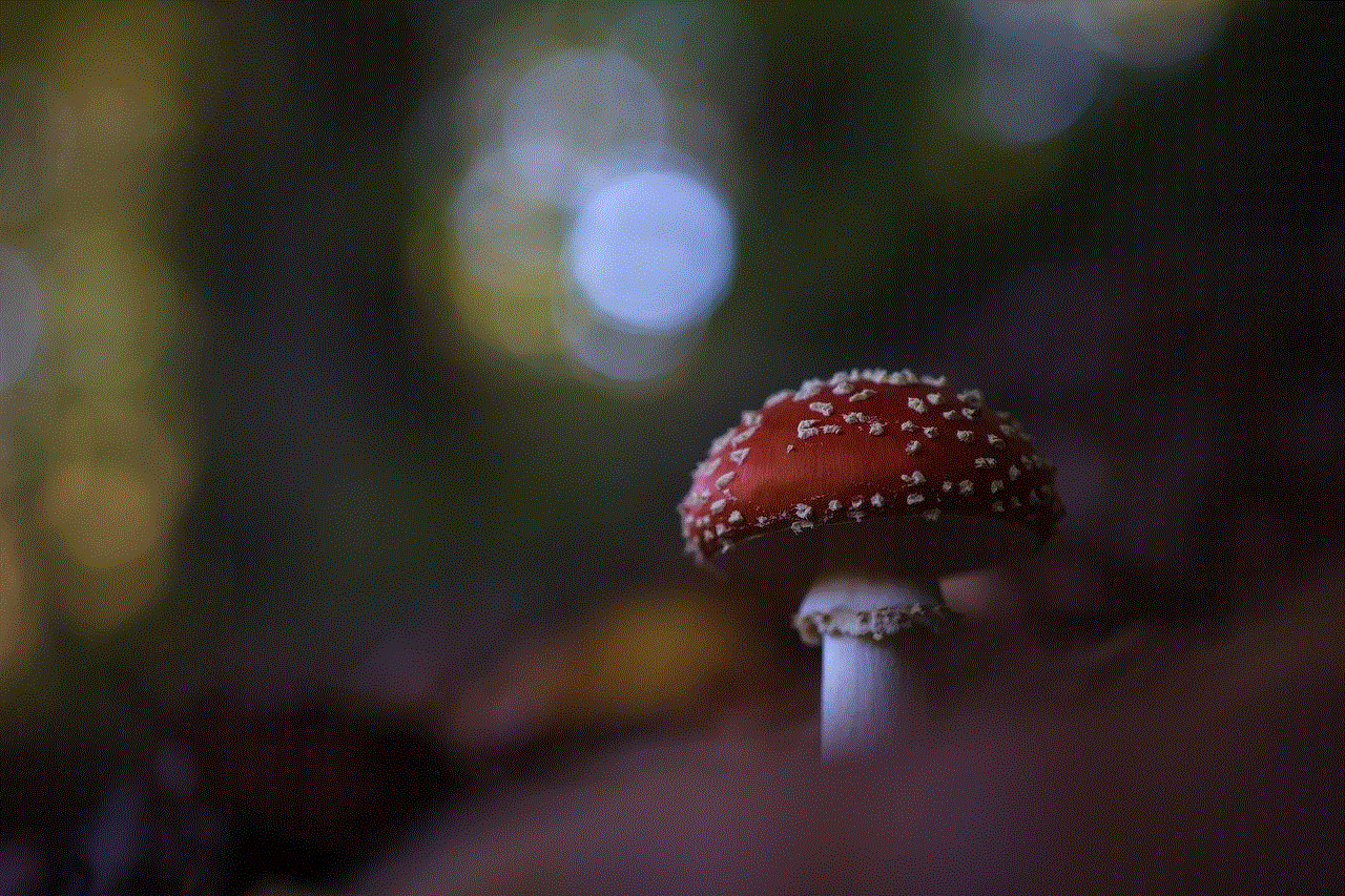 Toadstool Mushroom