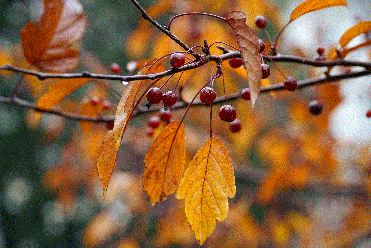 Autumn Nature