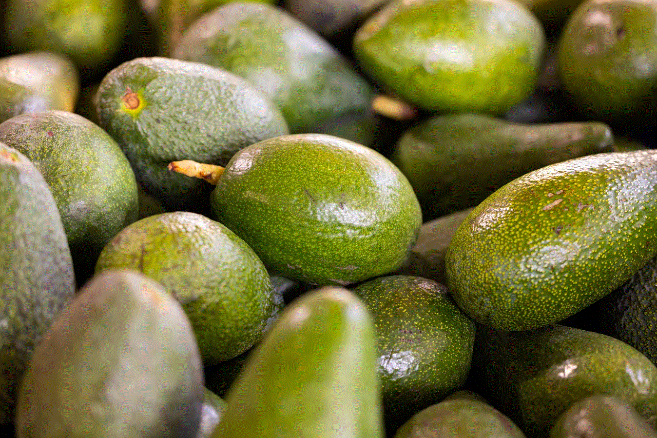 Avocados Fruits