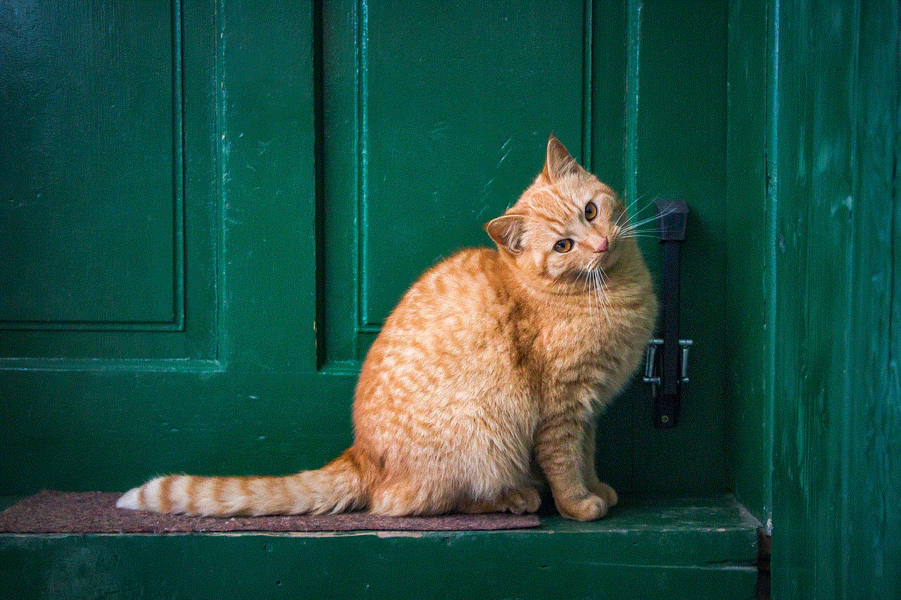 Cat Front Door