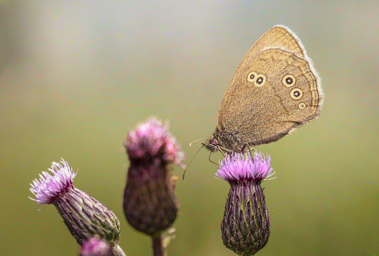 Ringlet Flowers