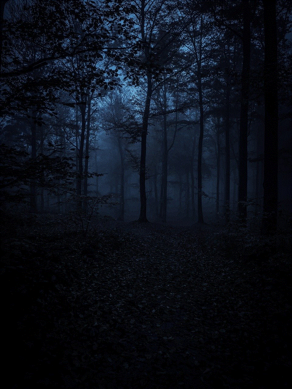 Forest Darkness