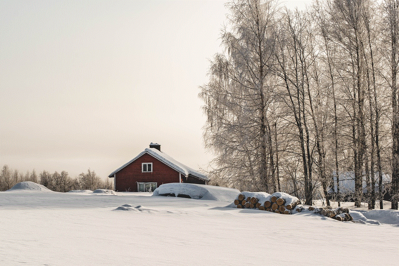 Trees Snow