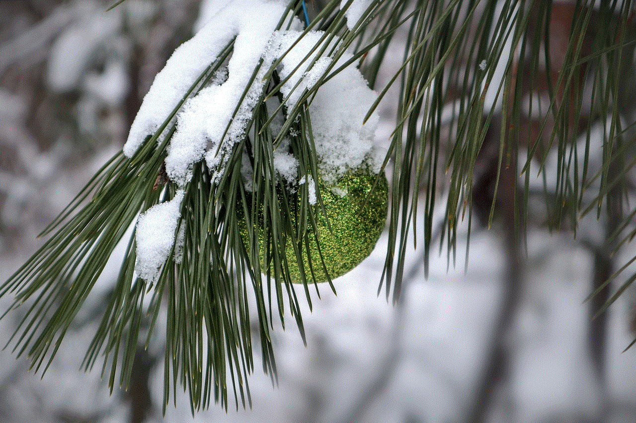 Christmas Tree Winter