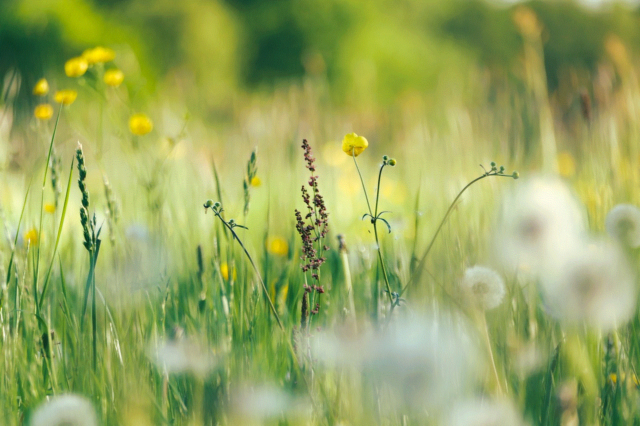 Flowers Buttercups