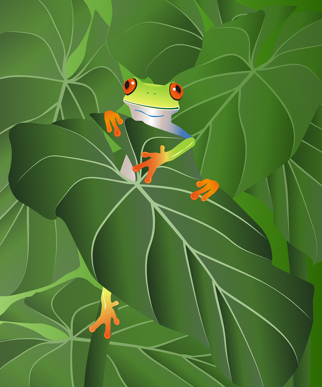 Frog Tree Frog