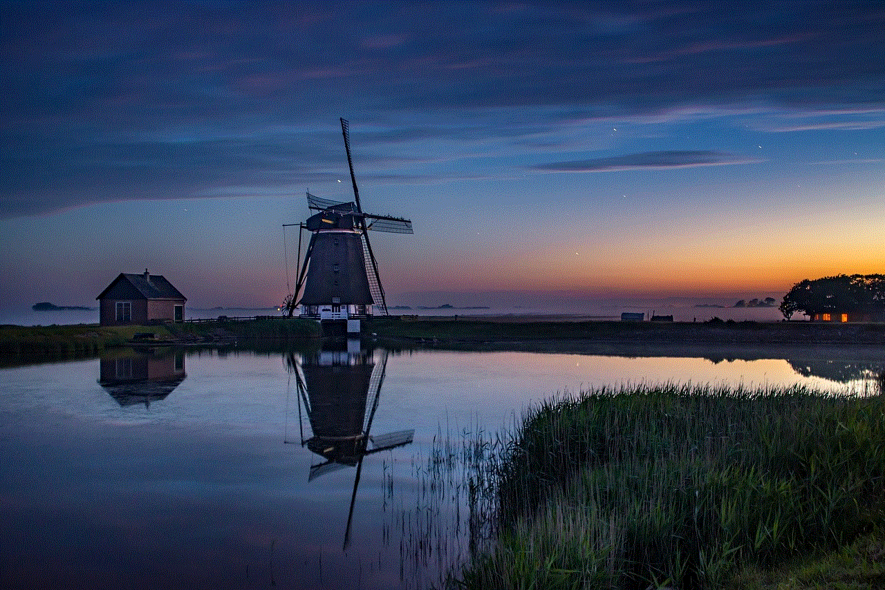 Windmill Night