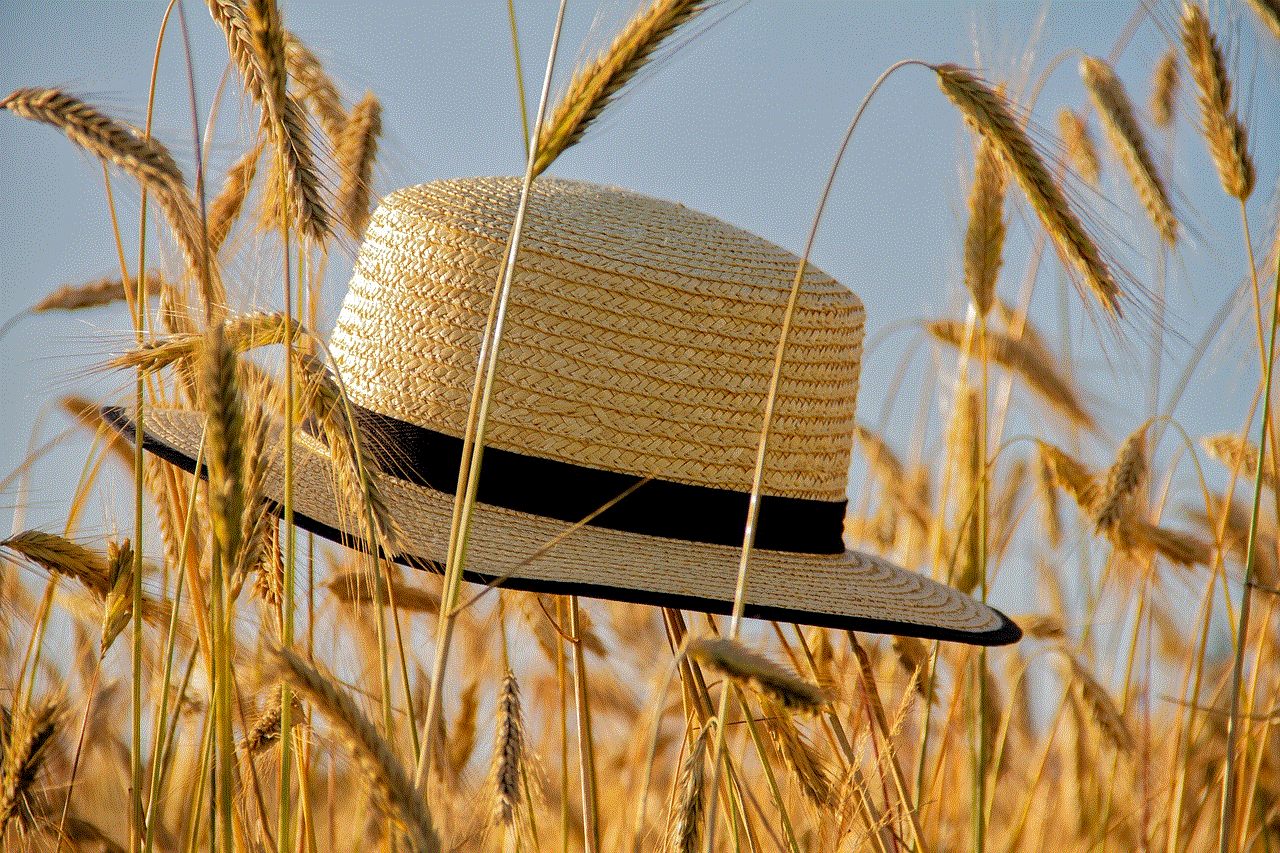 Cap Straw Hat