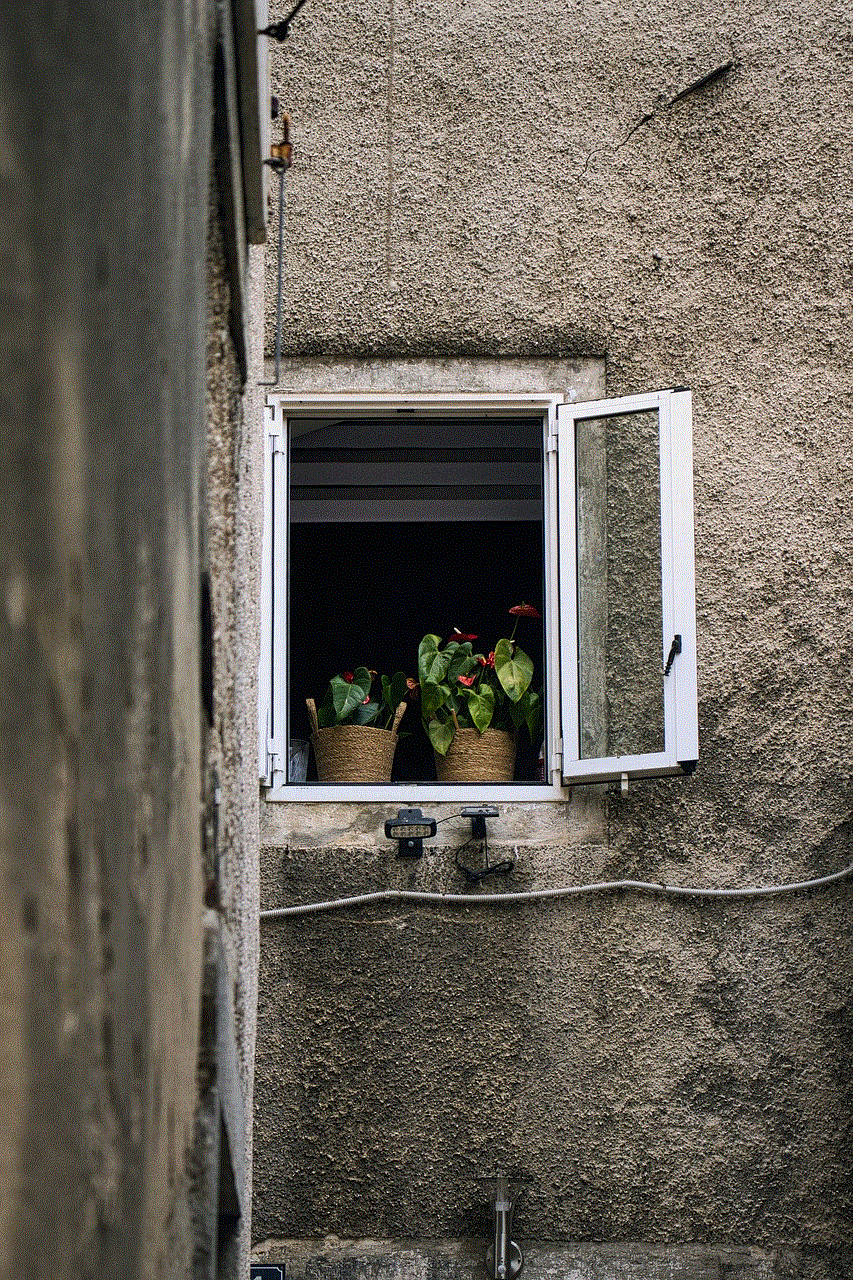 Window Plants