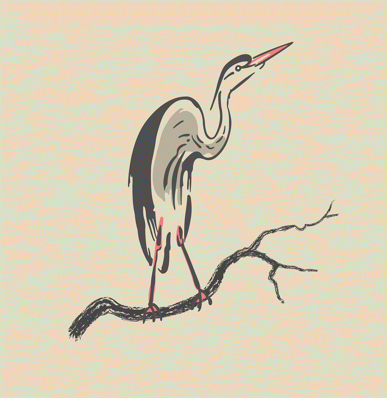 Crane Bird