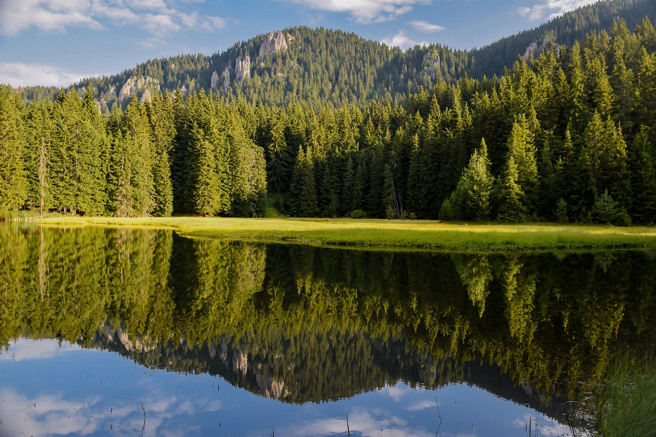 Lake Nature