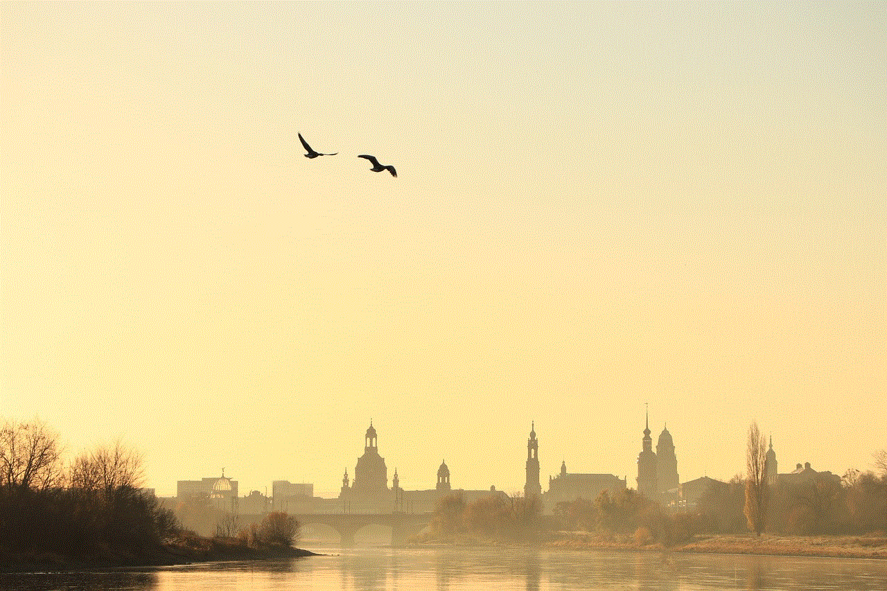 Dresden Morning